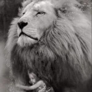 Meet your Posher, Abigail